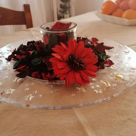 Belli Dentro